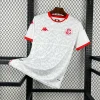 Tunisia Away Soccer Jersey World Cup 2026