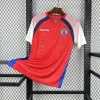 Haiti Third Soccer Jersey World Cup 2026